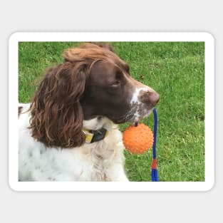 Brock and orange ball Sticker